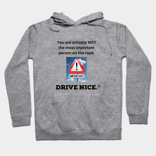 Drive nice, most important Hoodie by TraciJ